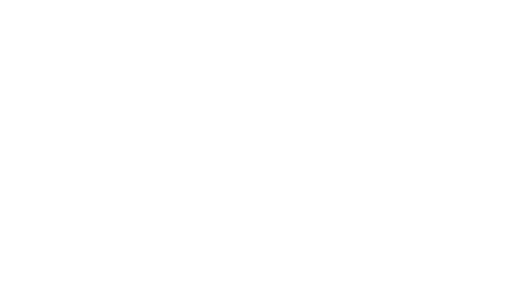 Logo Renault blanc